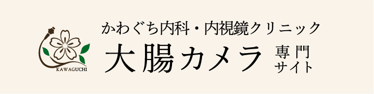 大腸カメラ専門サイト
