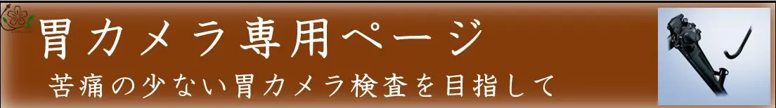 苦痛の少ない胃カメラ検査｜かわぐち内科・内視鏡クリニック